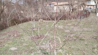 :     , 4- 