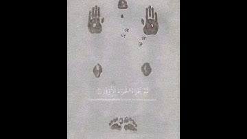 وأن ليس للإنسان إلّا ما سعى للمنشاوي  #راحة_نفسية #تلاوات #المنشاوي #ادريس_ابكر #المعيقلي