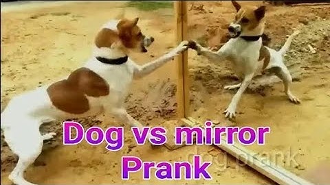 my first vlog ❤|| my first vlog on my YouTube channel ||👍baba umesh vlogs