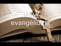 1. (Hungarian) Audio Biblia. Újtestamentum. Máté evangéliuma