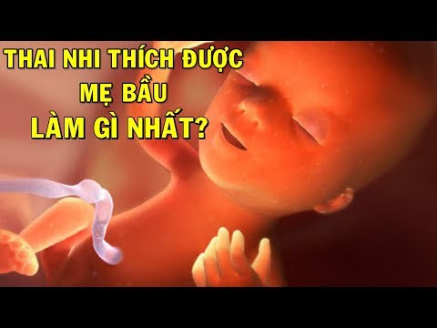 Video: Chúng Ta Nghĩ Về điều Gì Khi Còn Trong Bụng Mẹ