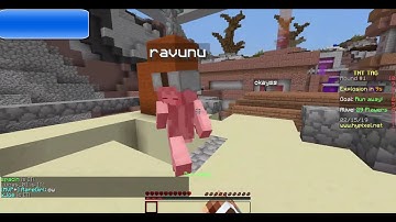 Hypixel TNT TAG Report ravunu 
