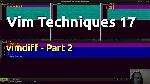 Vim Techniques 17 - vimdiff (part 2)