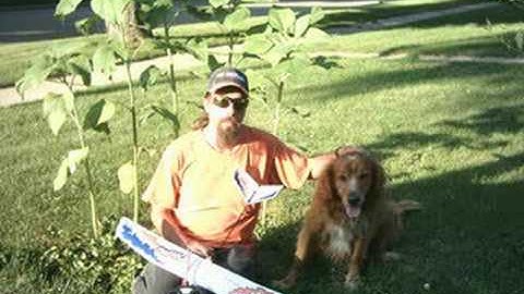 Firebird Phantom by Hobbyzone