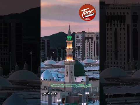 جينا على روضه هاله من الجنه ام كلثوم نغم وتناغم القلب يعشق كل جميل