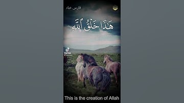 هذا خلق الله....تلاوة جميلة للشيخ فارس عباد،ستوري ديني،حالات واتساب