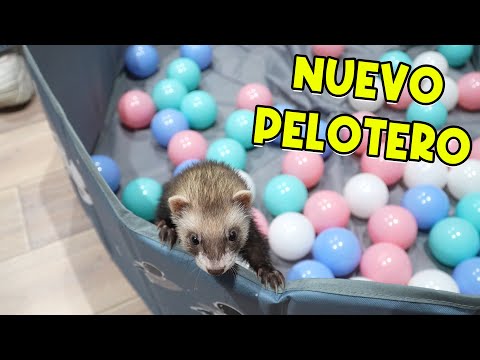 COMPRAMOS UN PELOTERO