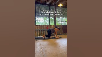 Meet the Multifidus Muscle Group – Part of Your Core Muscles l Luna Alignment Yoga l Koh-Phangan