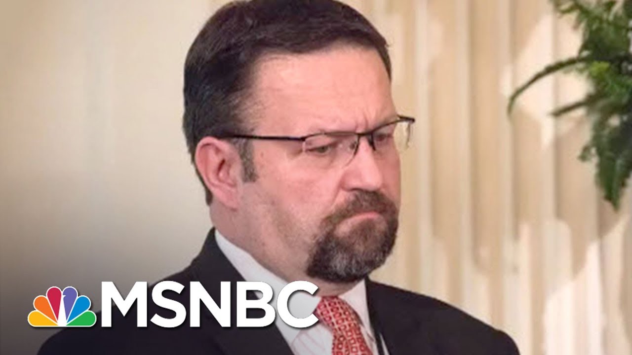 Hungarian Police Have Active Warrant For Sebastian Gorka's Arrest | All In | MSNBC