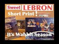 Space Jam 2. Blaster boxes! Lebron James Short Print. What FUN!