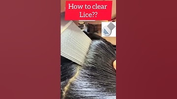 lice removal | Get rid of lice and nits #liceremoval #licecomb#licetreatment #liceremoval#piojos