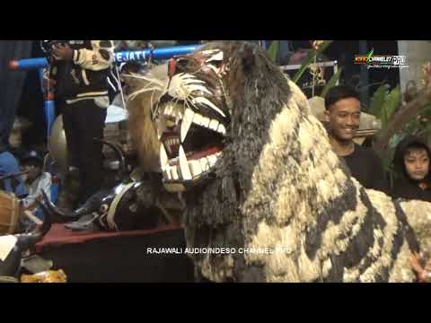 Audio jernih ❗❗Singa Liar Barongsai Rukun Sejati Live Kuso Dau Malang