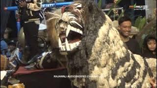 Audio jernih ❗❗Singa Liar Barongsai Rukun Sejati Live Kuso Dau Malang