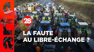 Crise agricole : la faute au libre-échange ? - 28 Minutes - ARTE