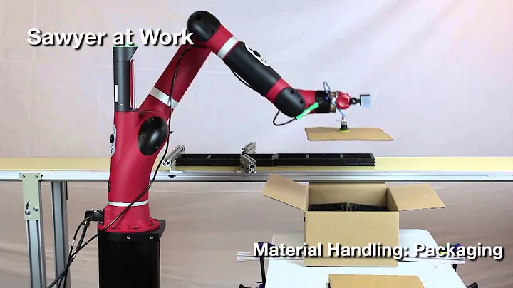 Sawyer at Work  - Case Packing