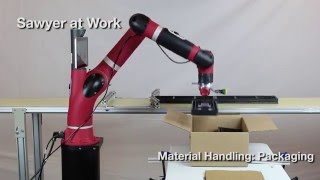 Sawyer at Work  - Case Packing