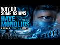 🌙 Why Do Some Asians Have Monolids? | A Calm Human Evolution Story for Sleep &amp; Study