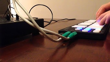 Qunexus X Moog werkstatt