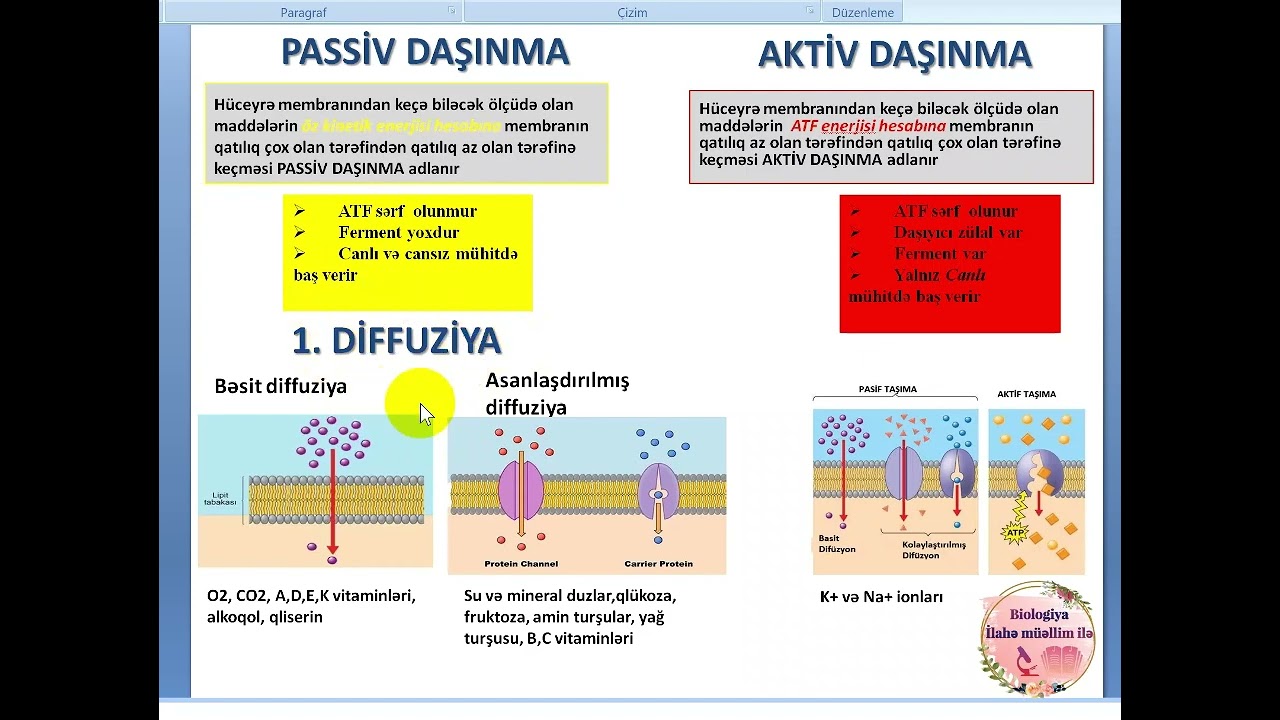 Maddələrin hüceyrə membranından daşınması. Turqor, Plazmolis #biologiya #bialogiya #sitologiya