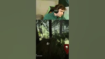 I didn’t even look back… | Chaos Mod In The Forest | Twitch: ChunksterChunkus