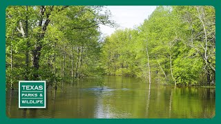 PBS Trailer - Bayou City, Shotgun Skills & Goose Island Wild Wildlife