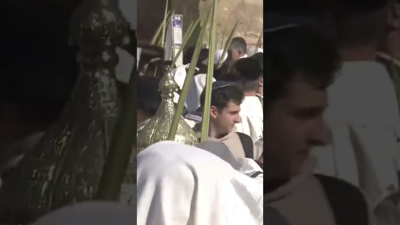 שירת ההלל במעמד ברכת הכהנים