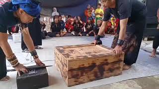 Seni Debus Atraksi Ular Galak