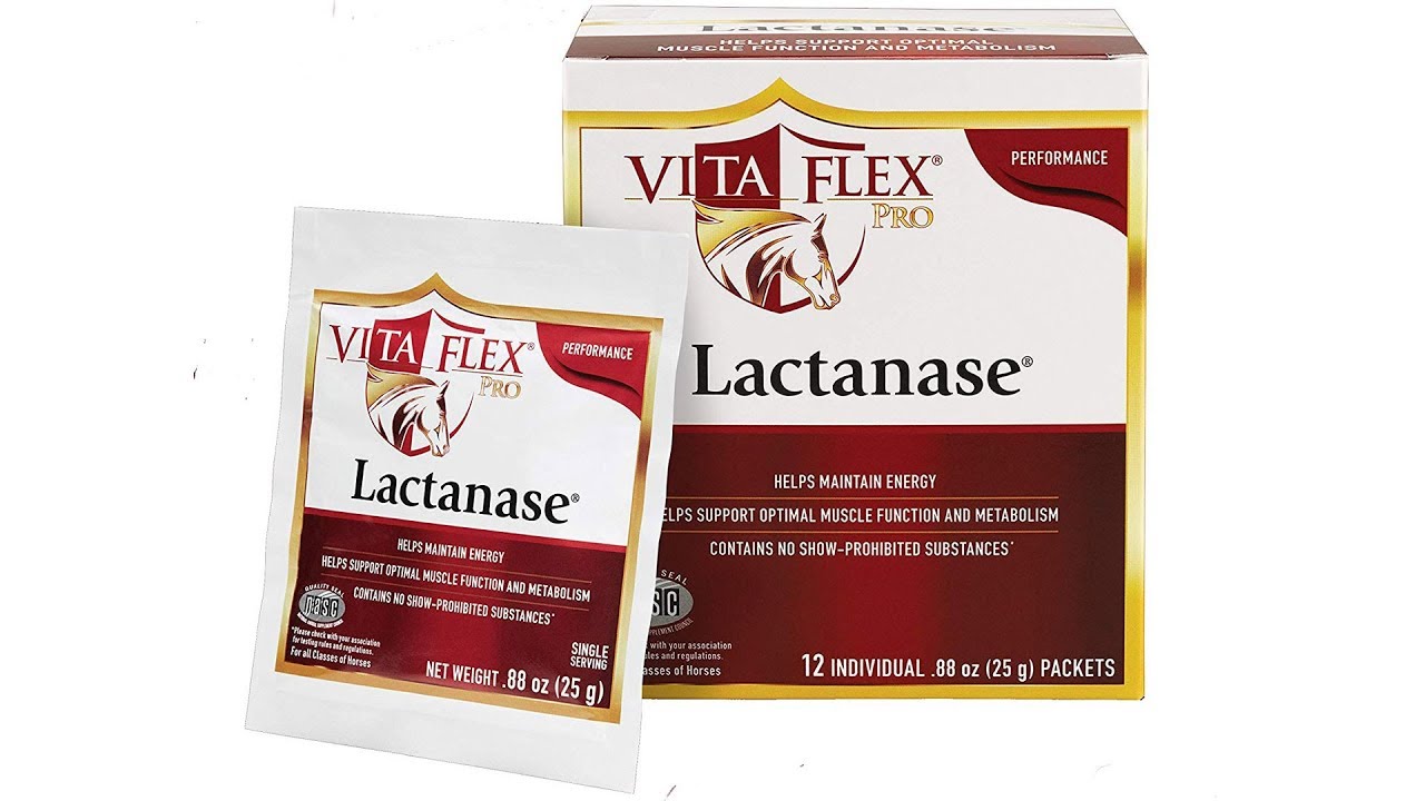 Vita Flex Lactanase Performance Supplement for Horses - YouTube