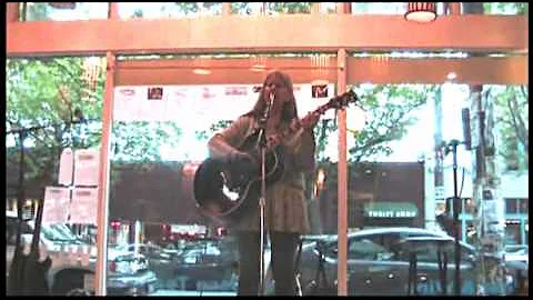 Nancy K Dillon - All the Pretty America