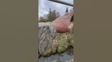 Professional Fence Stretching Tips ⚒️ #shorts