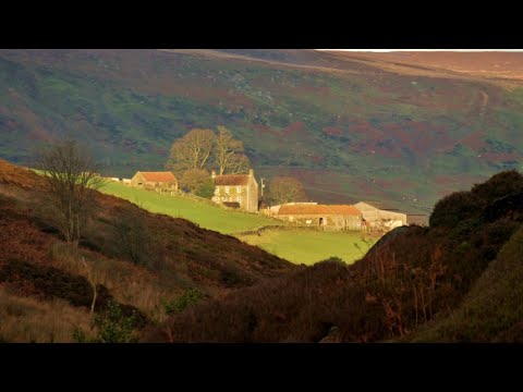 Westerdale, North York Moors - 20 December 2020