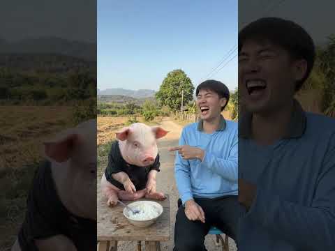 บอกแล้ว #กลายร่างเป็นหมู #ตลก #แกล้งคน