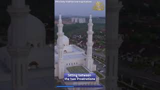 Sitting between the two Prostrations