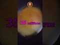 Crema de nueces con torta actu 7 8 25