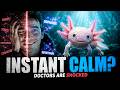 Therapists Are Now Recommending Axolotl Videos — Here's Why It Actually Works