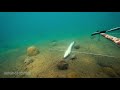 Красивый выстрел на подводной охоте  Kill shot barracuda