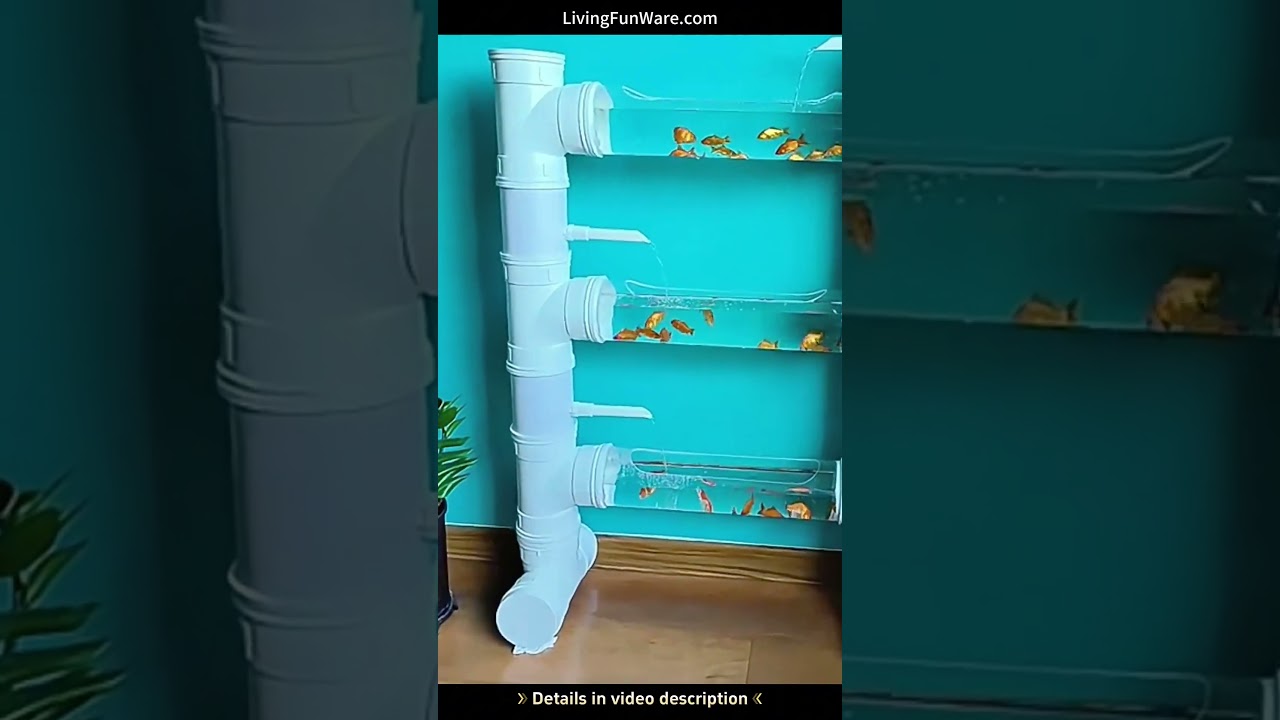 Аквариум в виде трубы: Экологический кристальный дворец для плавающих рыб