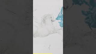 Salvador Dalí "Detective" Spots Real vs. Fake Art