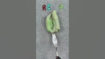 Guess the Color Challenge | Drop Your Name in the Comments