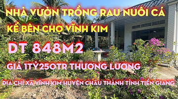 Tập 30 Vỡ Nợ,Bán Căn Nhà Vườn Có Ao Nuôi Cá DT 850m2 Gần Chợ Vĩnh Kim Huyện Châu Thành Tỉnh TG
