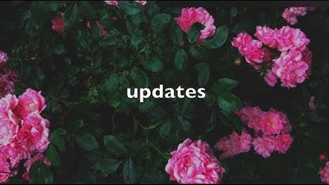 updates || yazzie msp