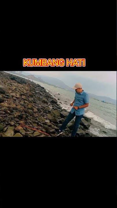 video pendek lagu kumbang hati#short