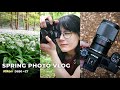 A spring photo walk with the kase 200mm reflex lens