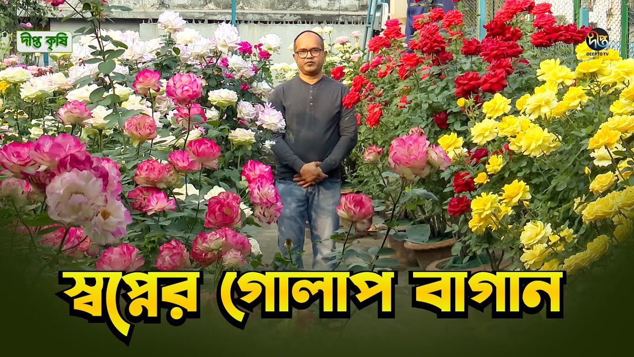 Deepto Krishi | স্বপ্নের গোলাপ বাগান | Roof Top Rose Garden in Bangladesh | EP 1796 l DeeptoTv