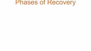 Conquering Codependency Mini-Course - Lesson 7: Phases of Recovery