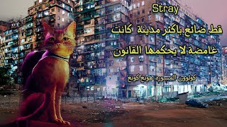 معلومات |  قط ضال في مدينة هونغ كونغ , مدينة كولون المسورة اللاقانونية | Stray  لعبة