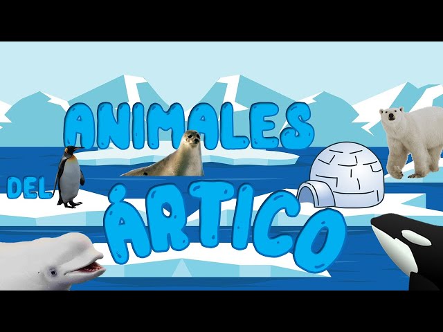 Animales Polares