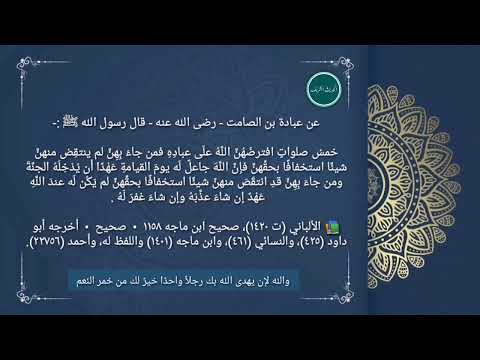 خمس صلوات افترضهن الله