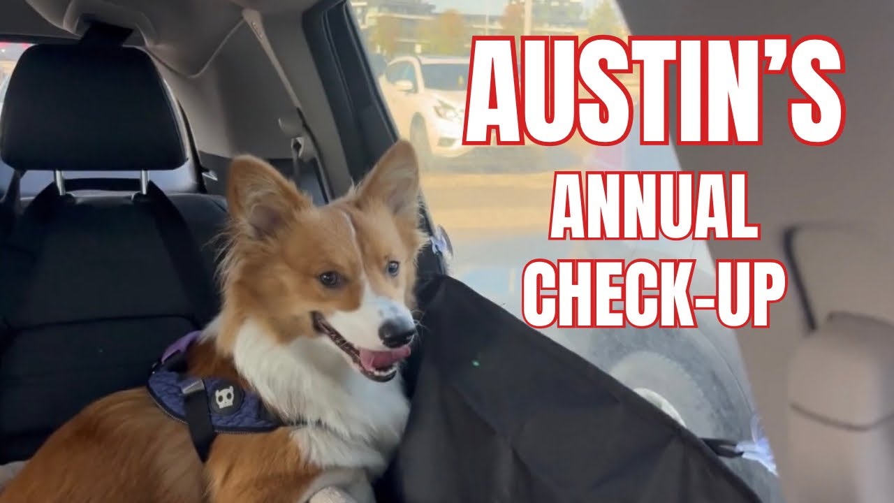 Annual check up ni Austin! | Life in Canada