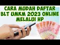 CARA DAFTAR BLT UMKM ONLINE 2023 MELALUI HP